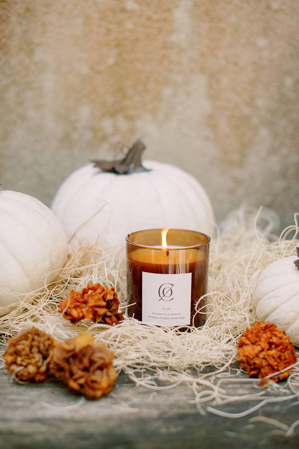 S. 06 Palmetto Pumpkin Soy Candle