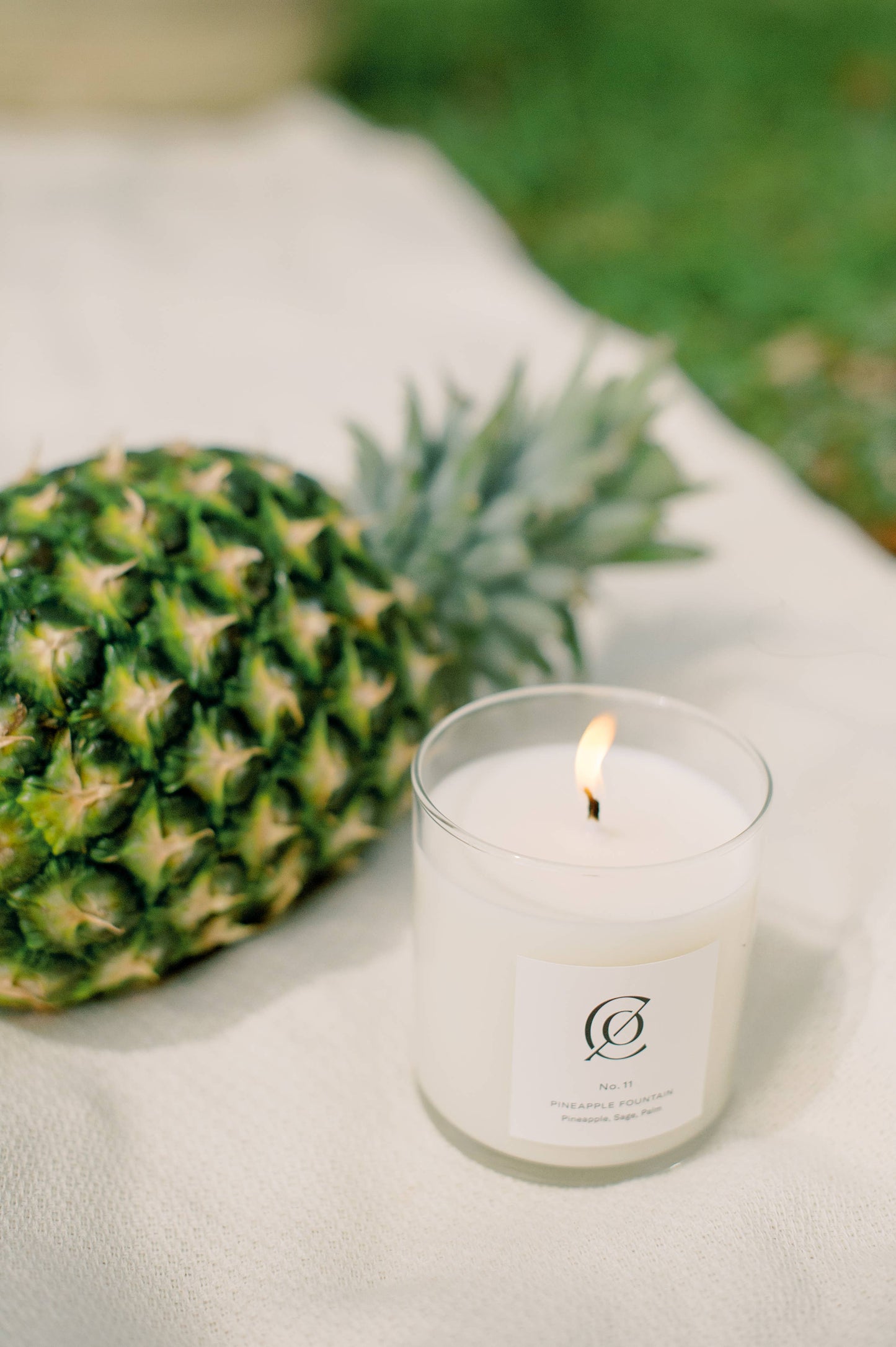 No. 11 Pineapple Fountain Soy Candle